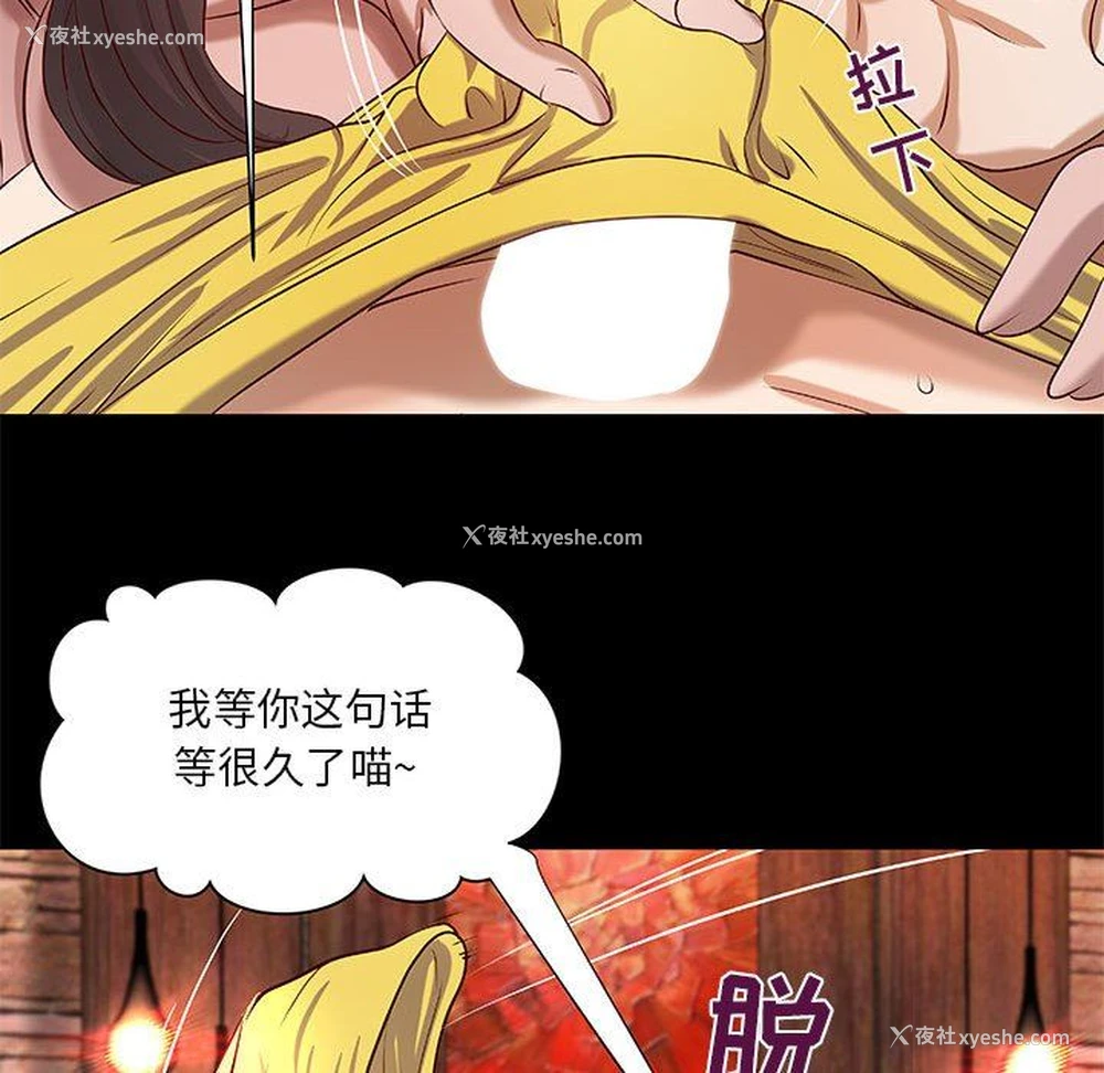 29P - 小说家的暧昧