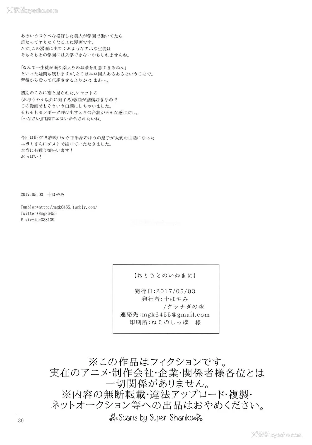 20P - (ふたけっと13) [グラナダの空 (十はやみ)] おとうとのいぬまに (Go!プリンセスプリキュア) [中国翻訳]