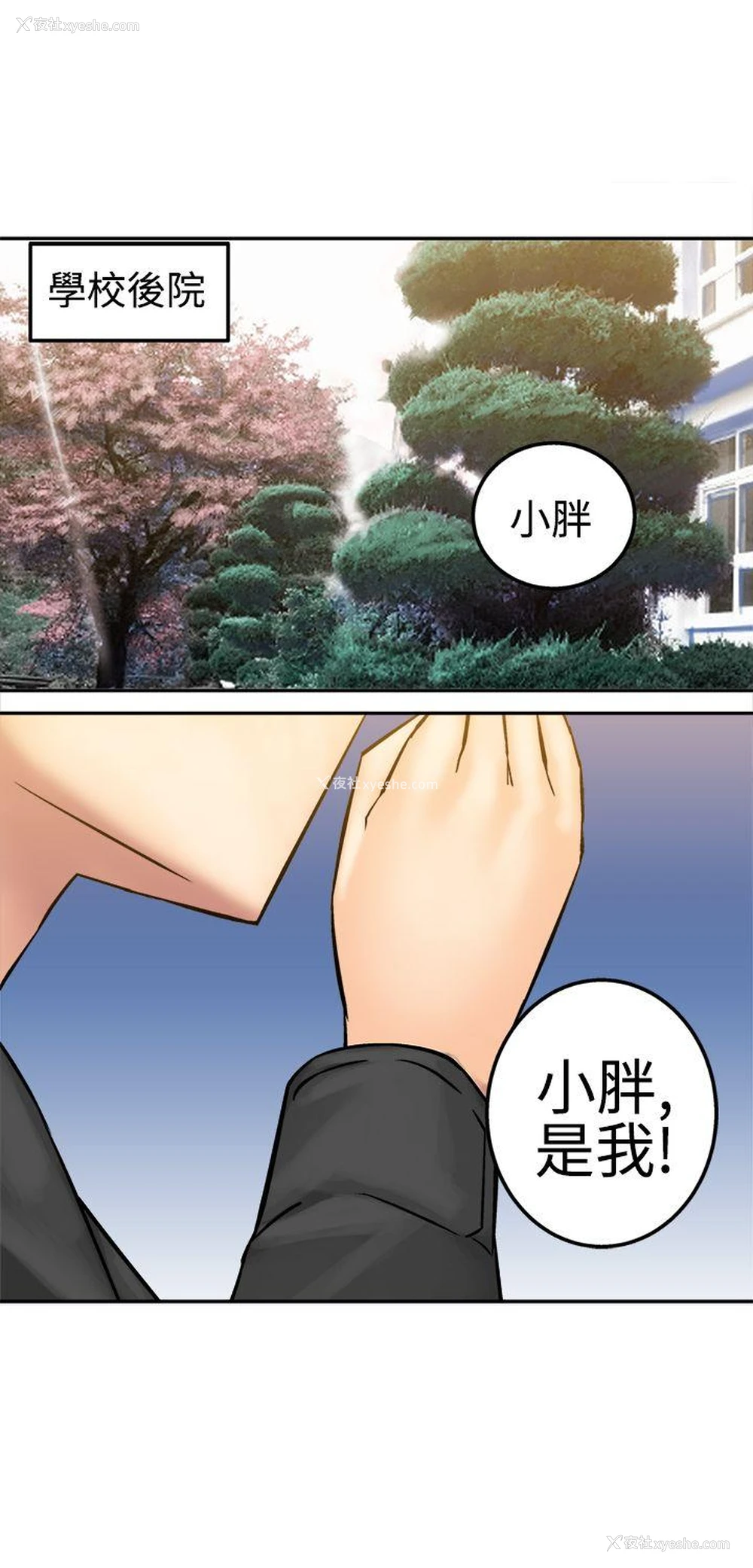 29P - 望月仙女传说