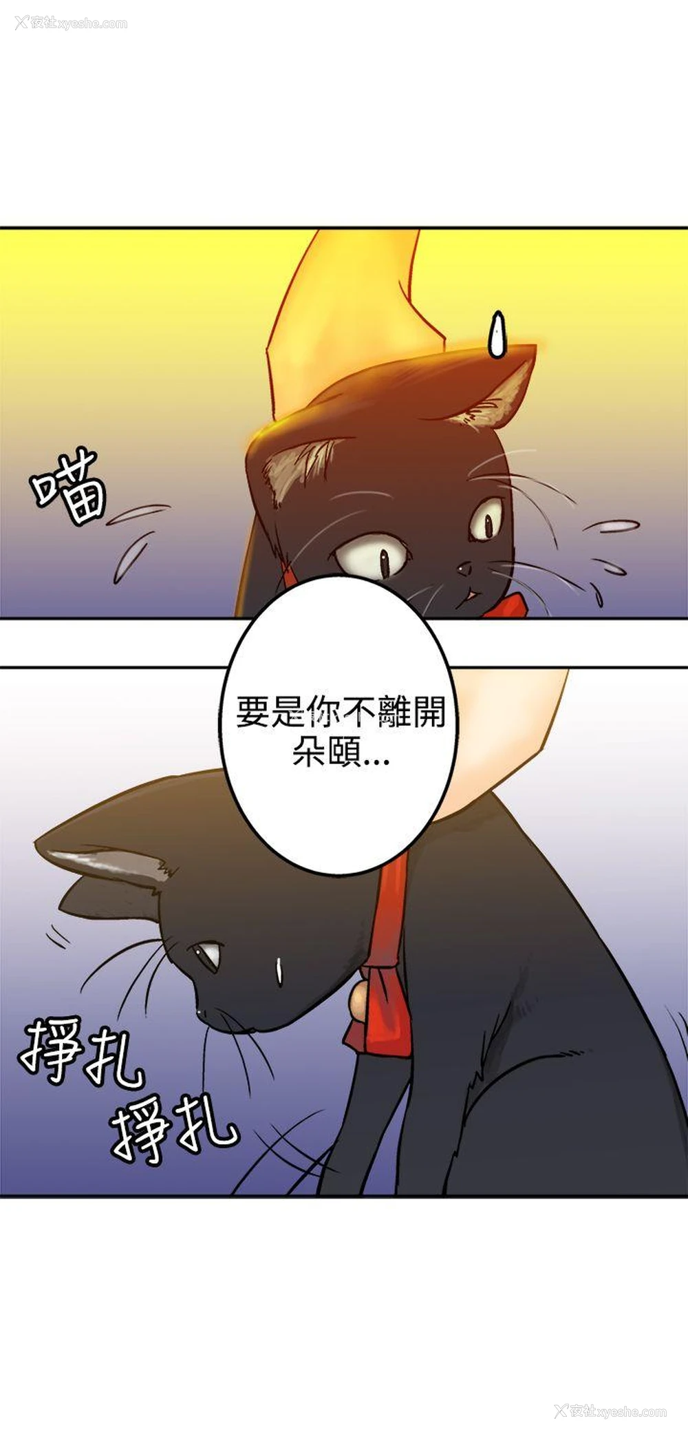 24P - 望月仙女传说