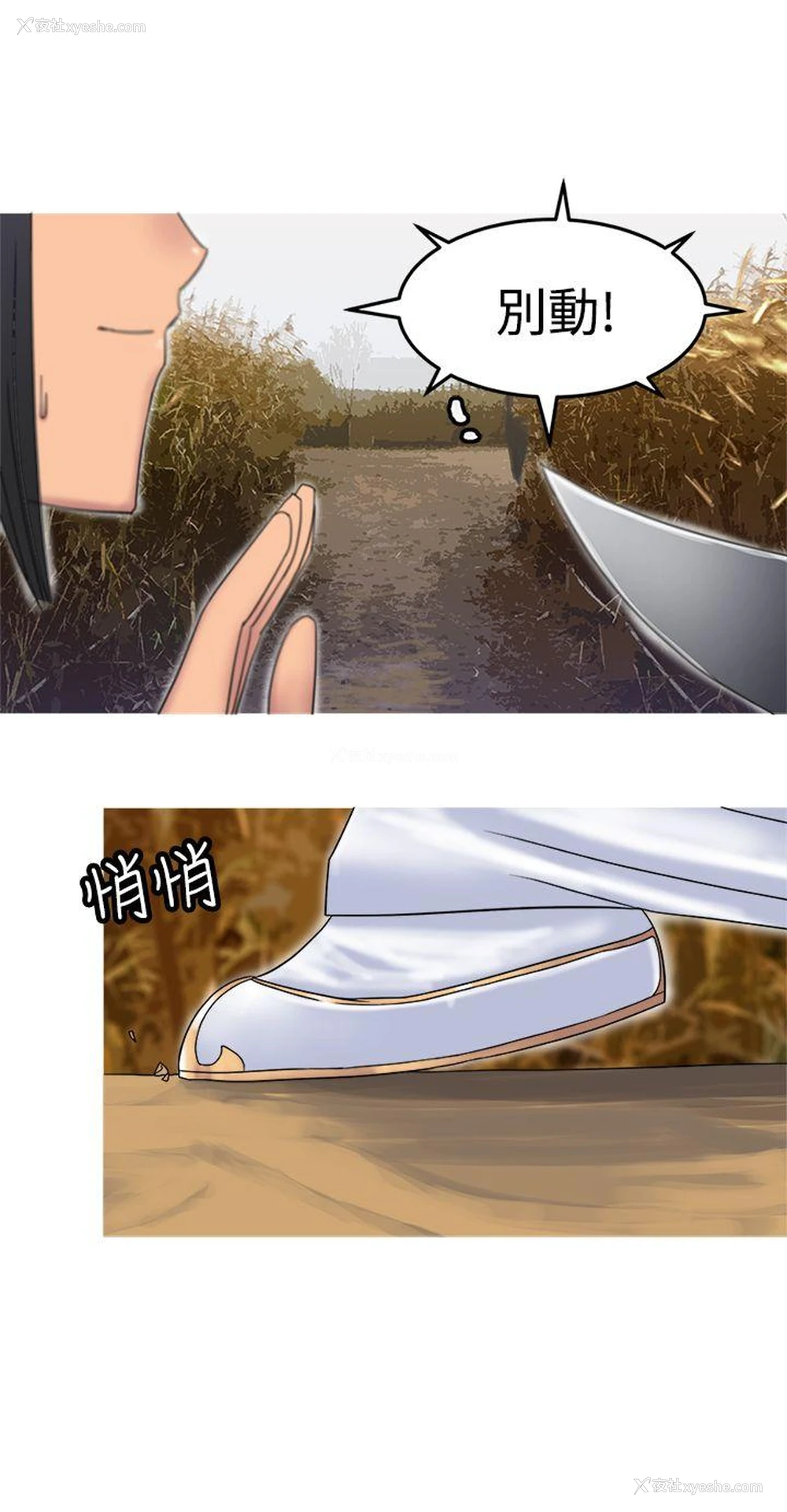 21P - 望月仙女传说