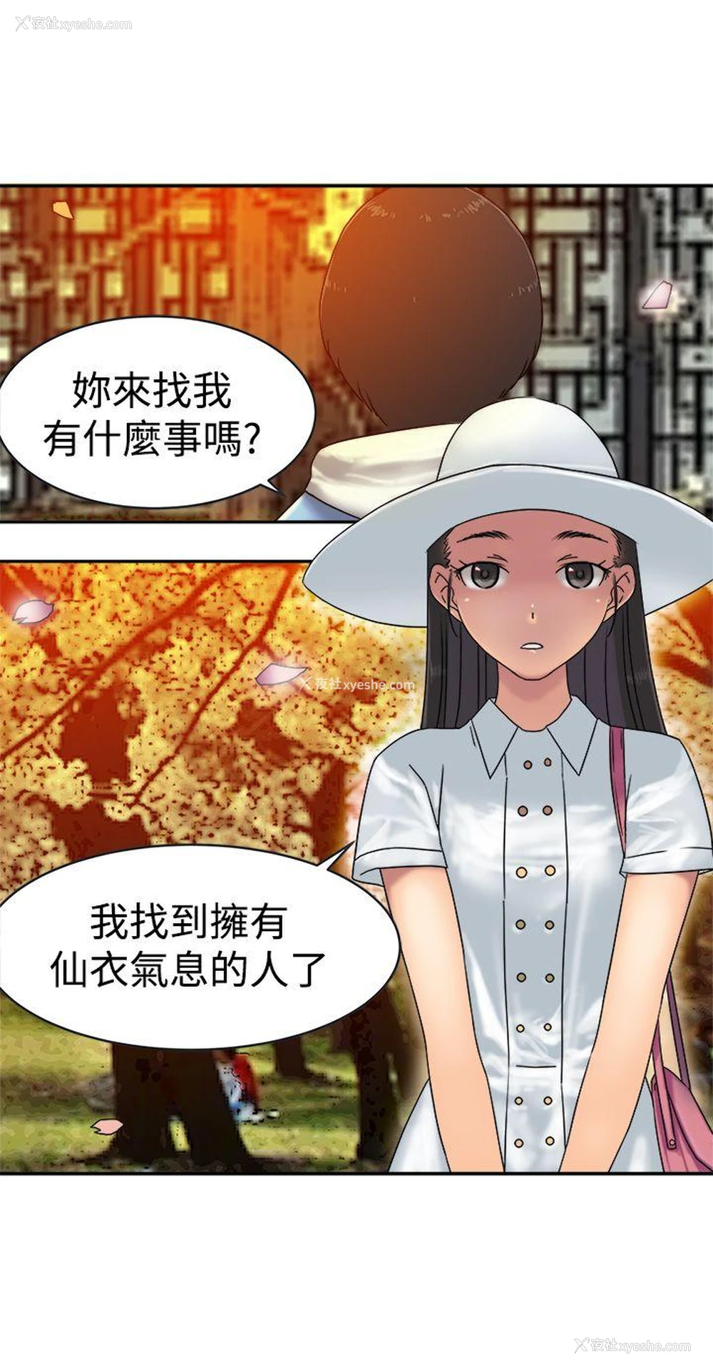 4P - 望月仙女传说