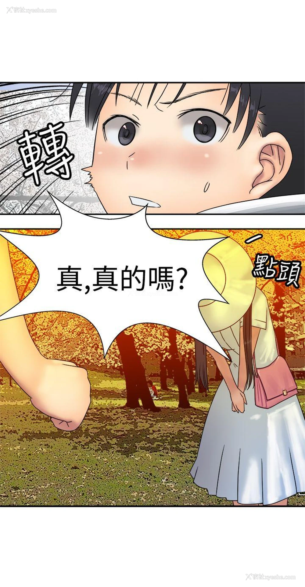 5P - 望月仙女传说