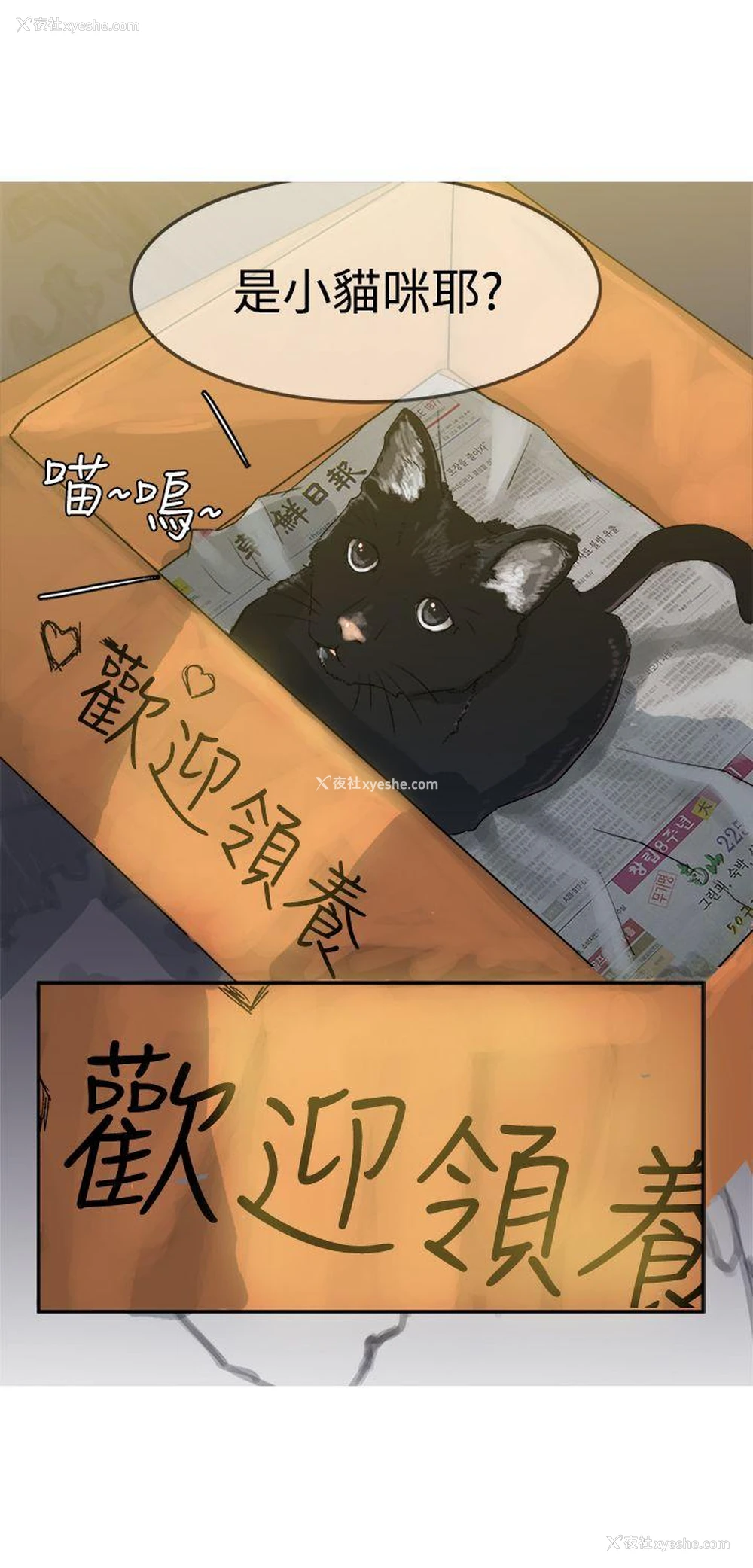 20P - 望月仙女传说