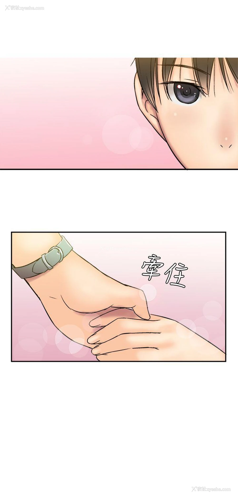 25P - 望月仙女传说