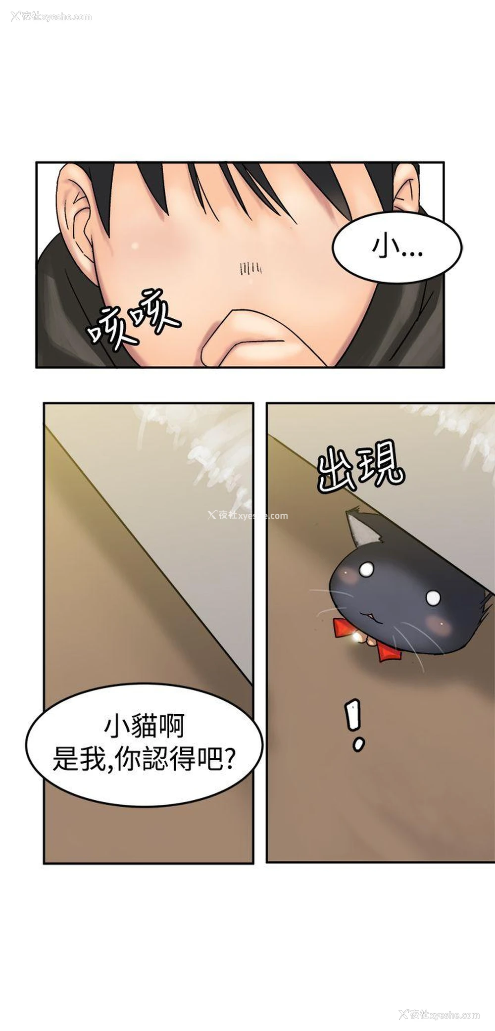 12P - 望月仙女传说