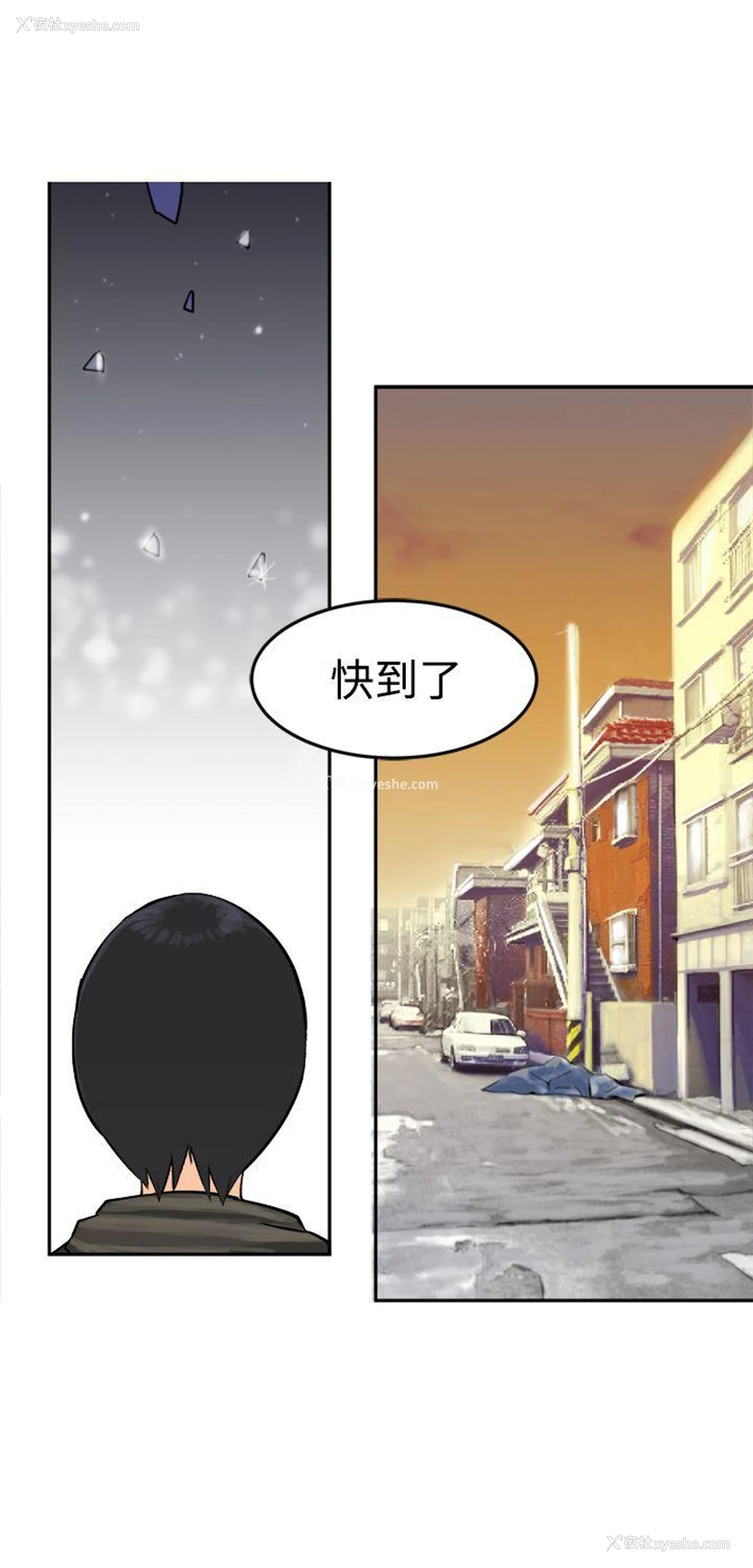 25P - 望月仙女传说