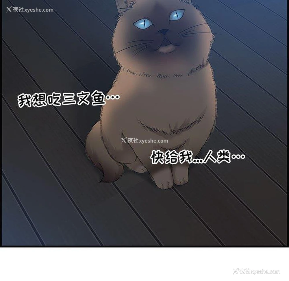 73P - 零距离聊天室