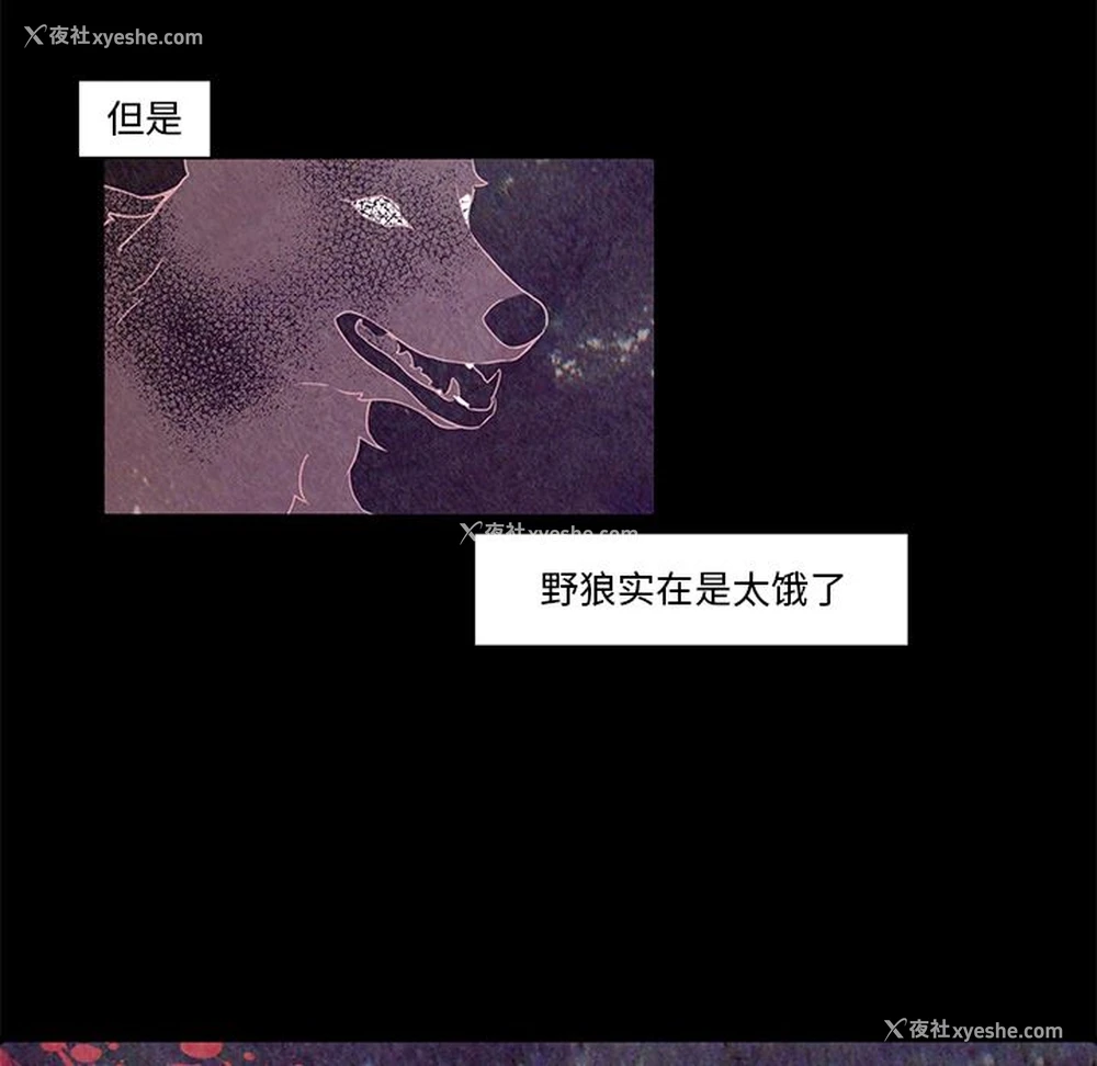 13P - 小红帽与狼少年
