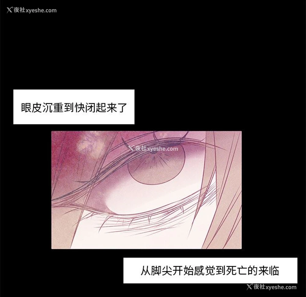 20P - 小红帽与狼少年