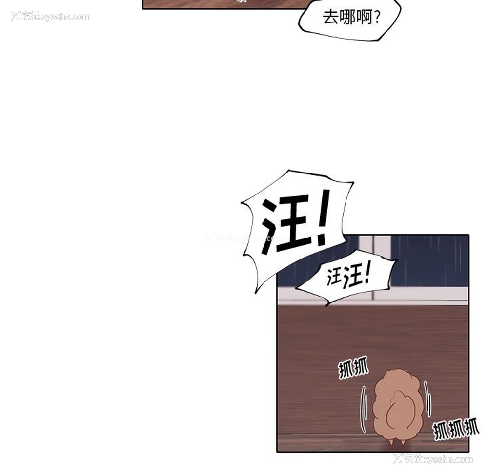 41P - 小红帽与狼少年