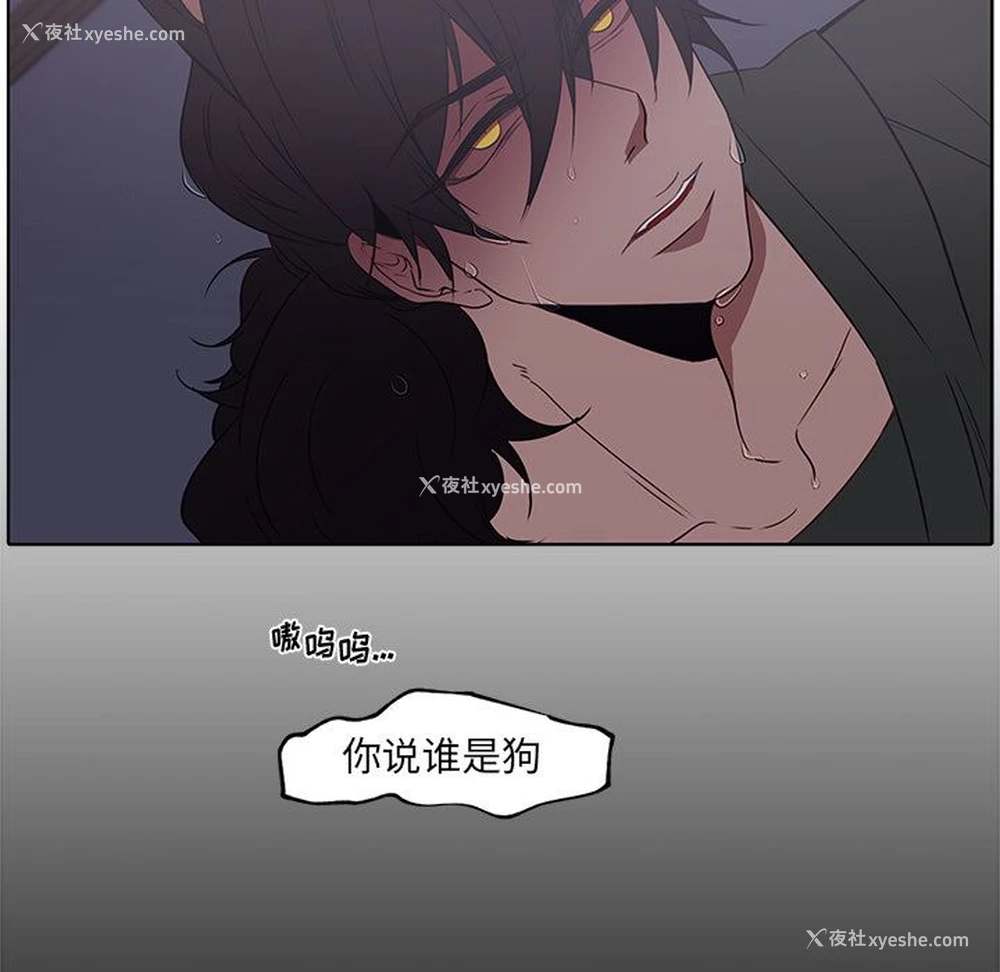 56P - 小红帽与狼少年