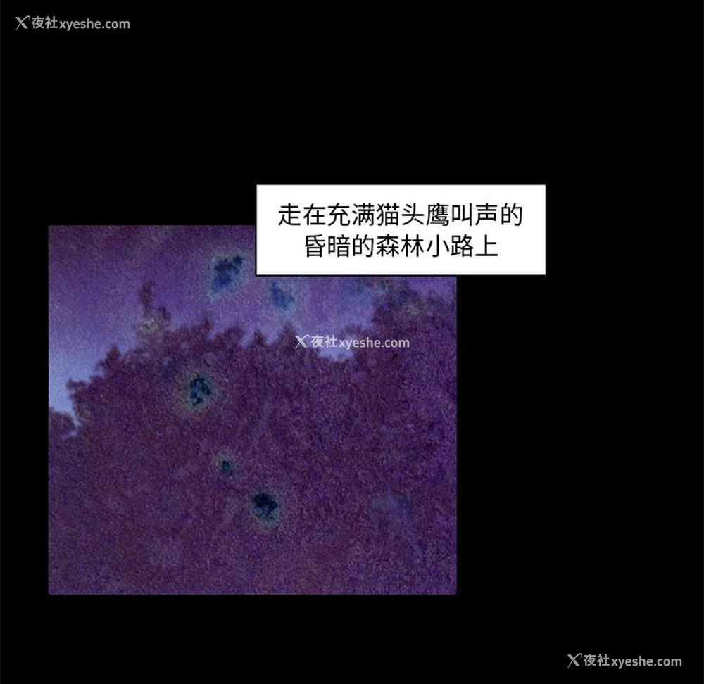 5P - 小红帽与狼少年