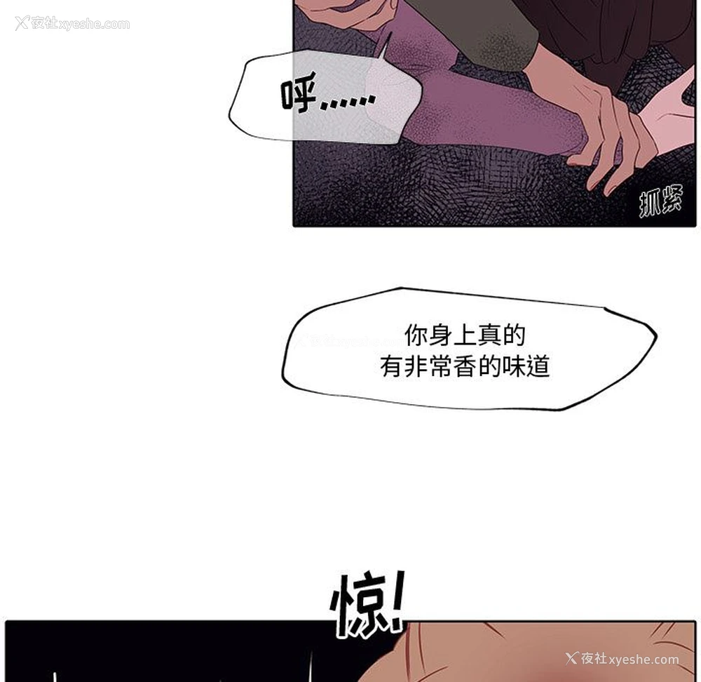65P - 小红帽与狼少年