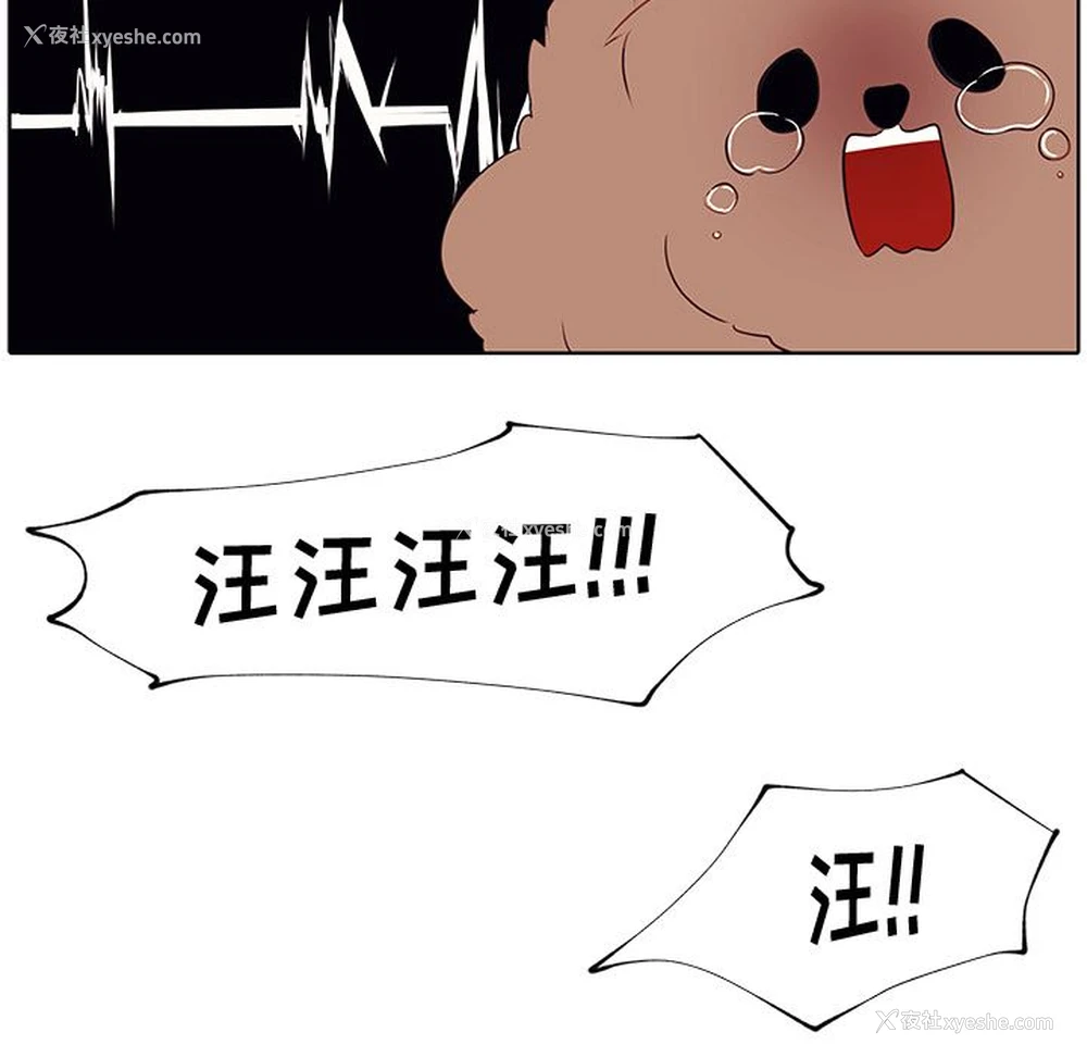 66P - 小红帽与狼少年