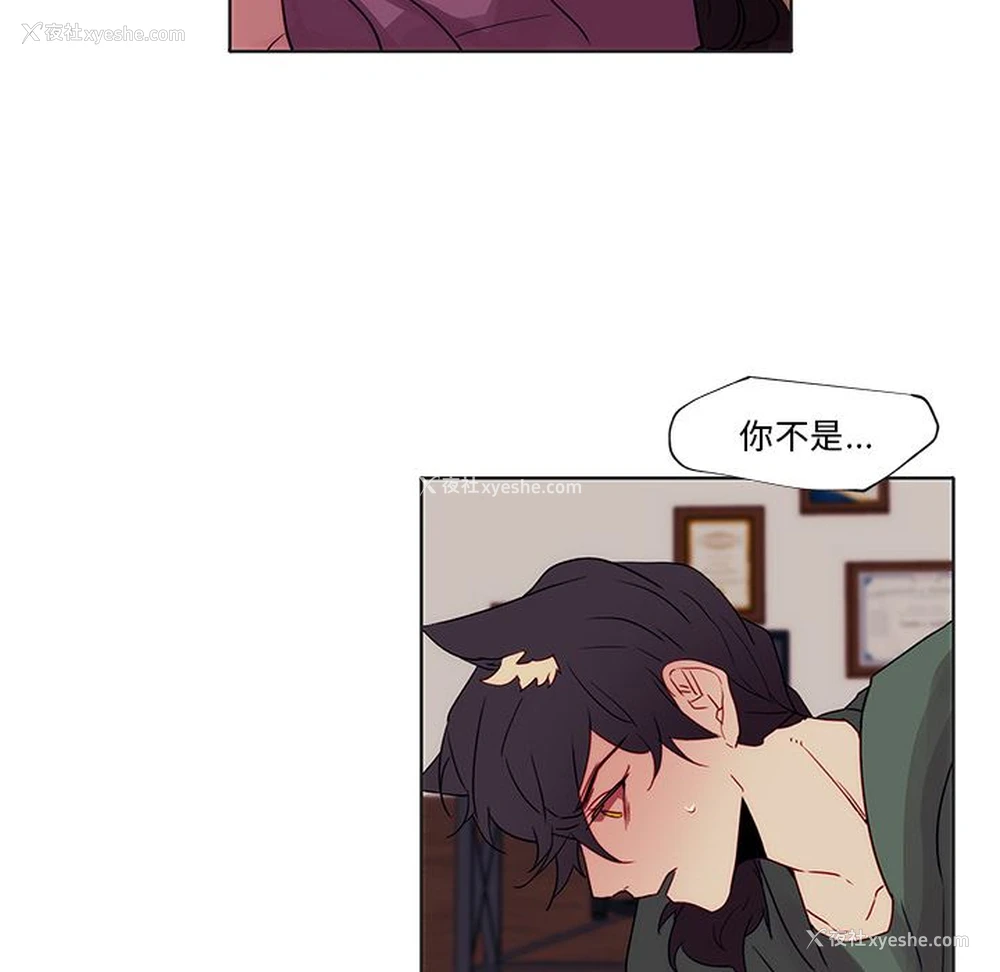6P - 小红帽与狼少年