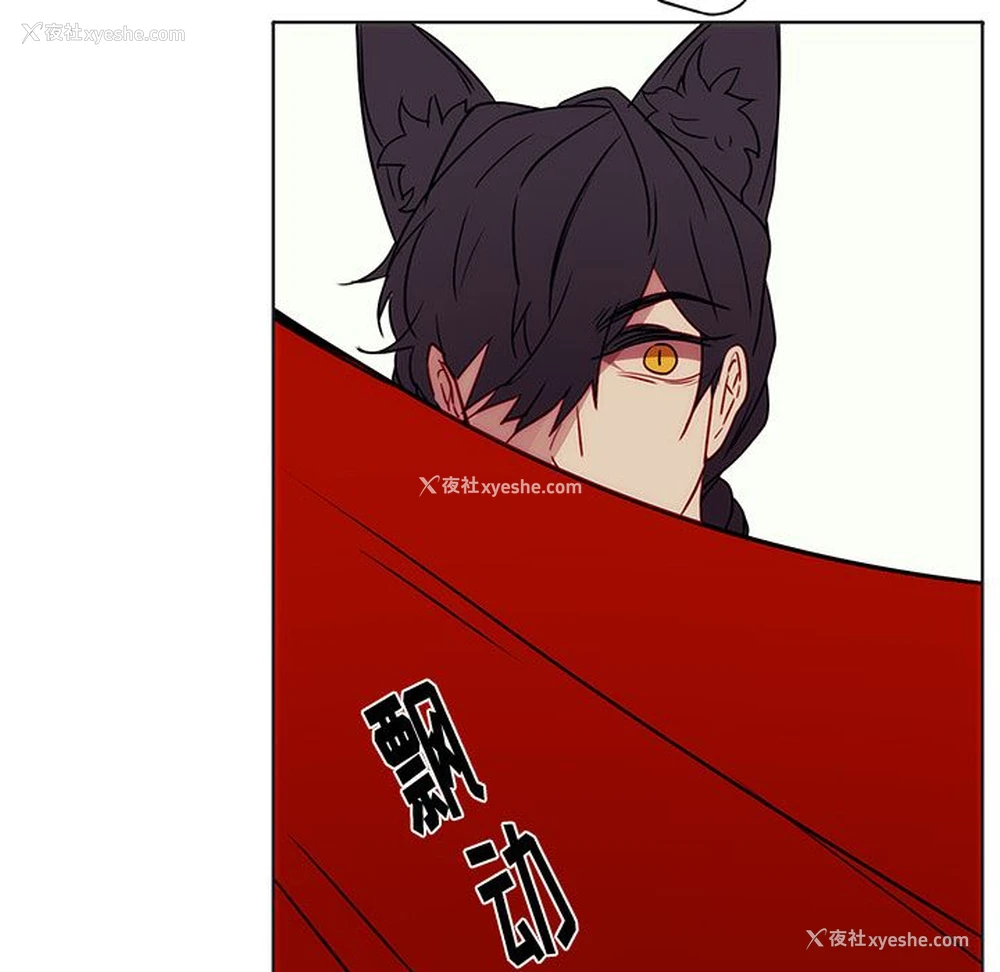 73P - 小红帽与狼少年