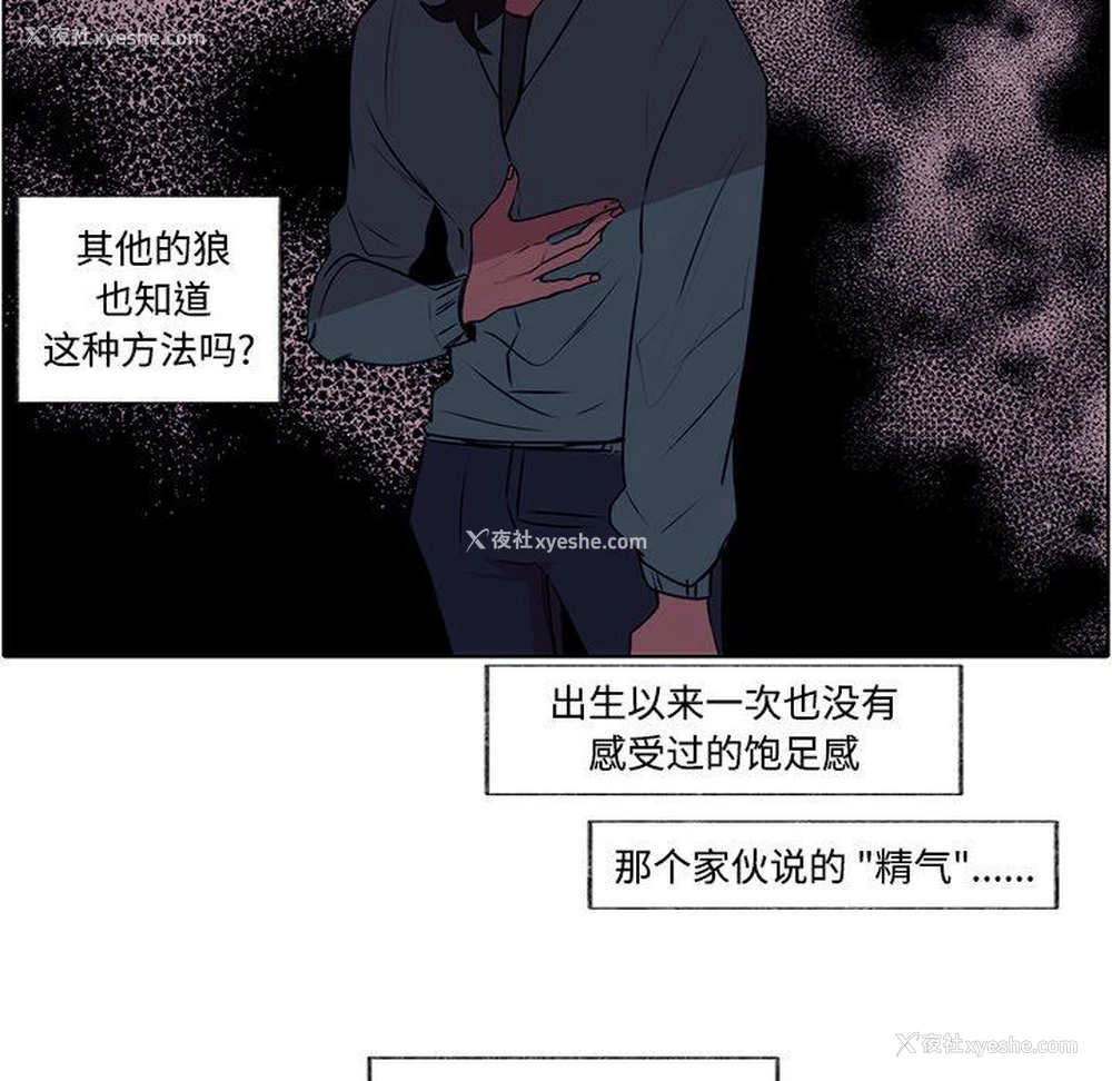 74P - 小红帽与狼少年