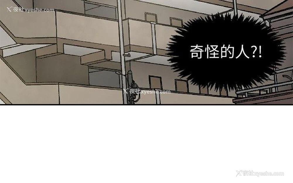 26P - 水蛭