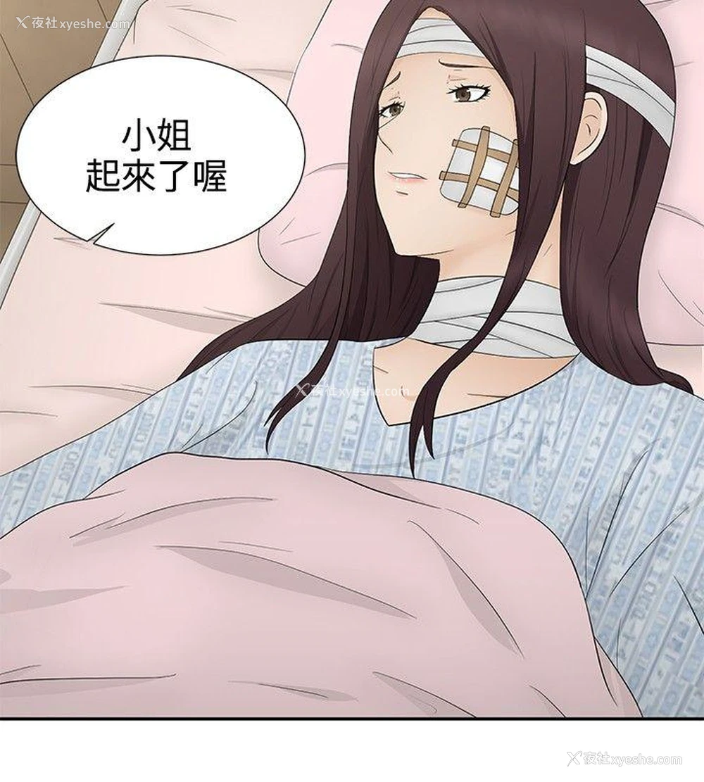 26P - 水蛭