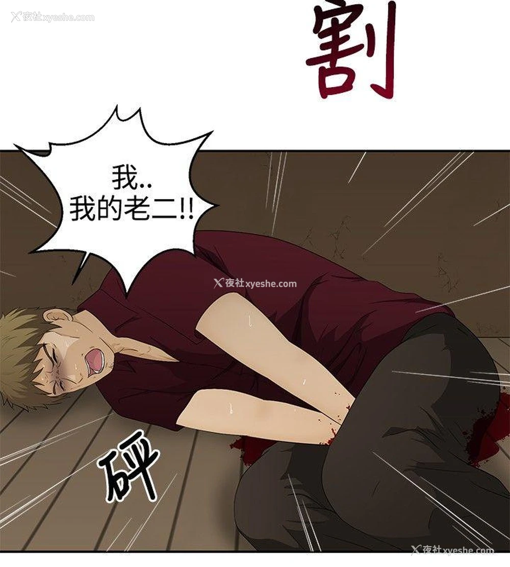 21P - 水蛭