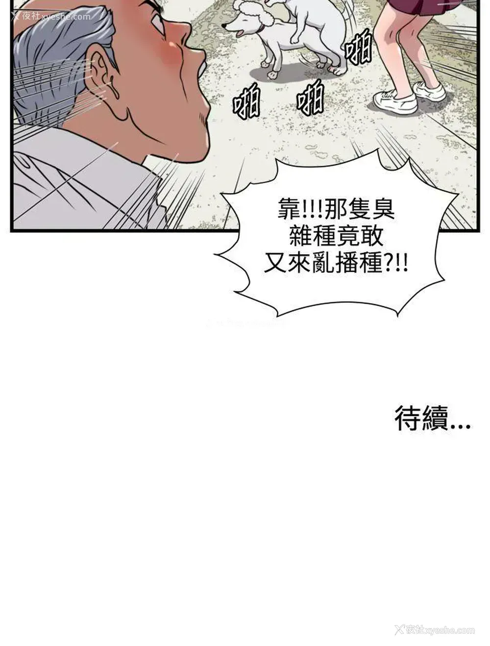 17P - 暴徒