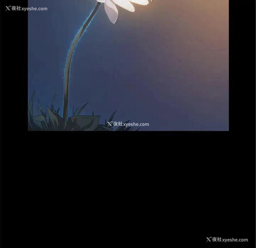 34P - 桃花