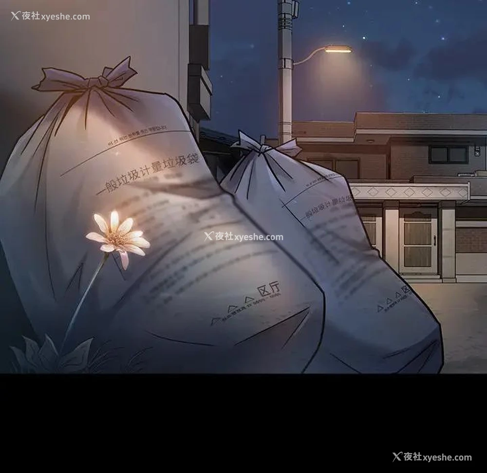 104P - 桃花