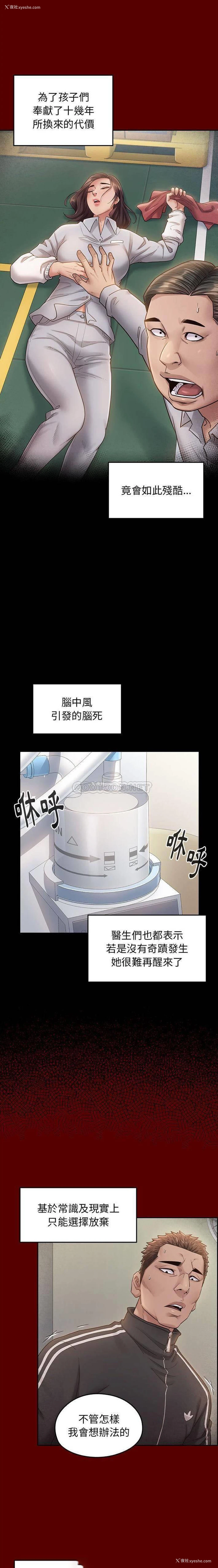 16P - 桃花