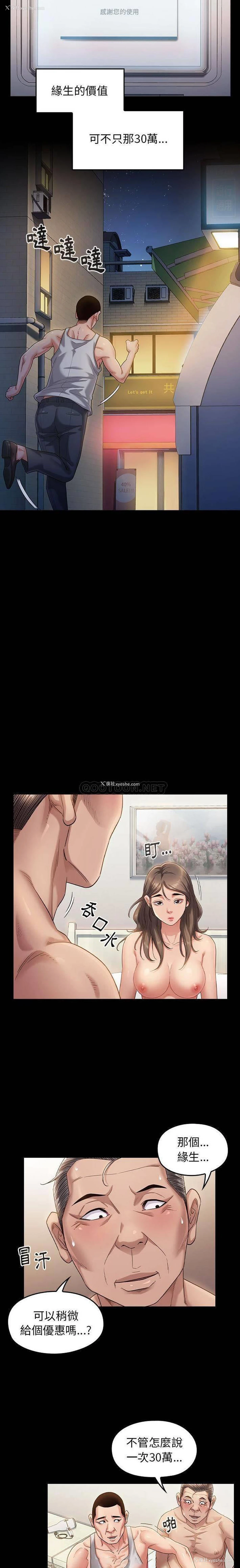 11P - 桃花