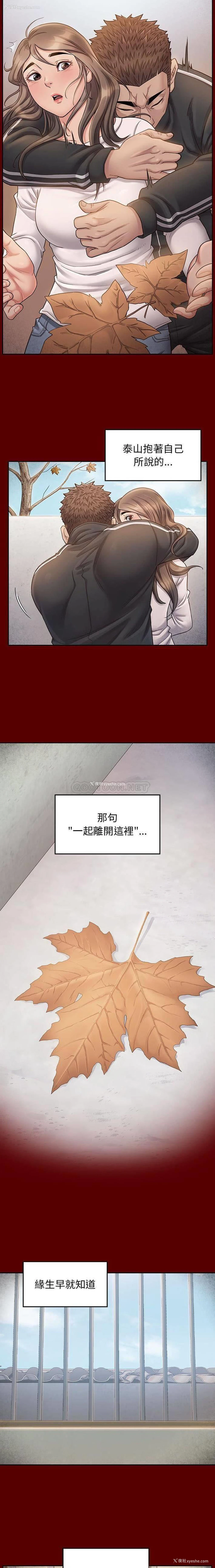 5P - 桃花