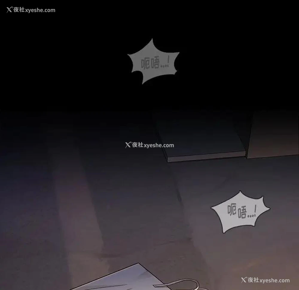 4P - 桃花