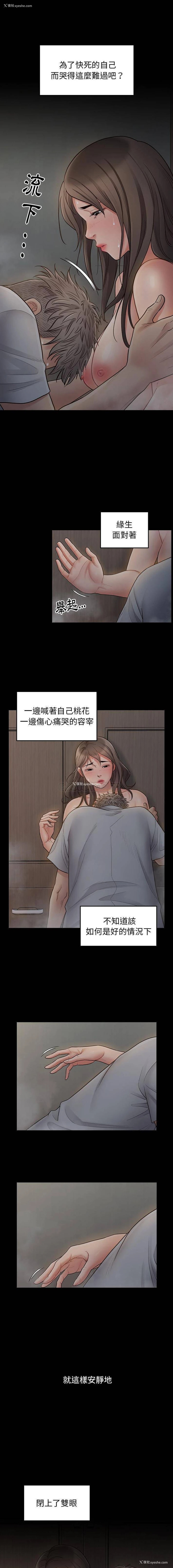 10P - 桃花
