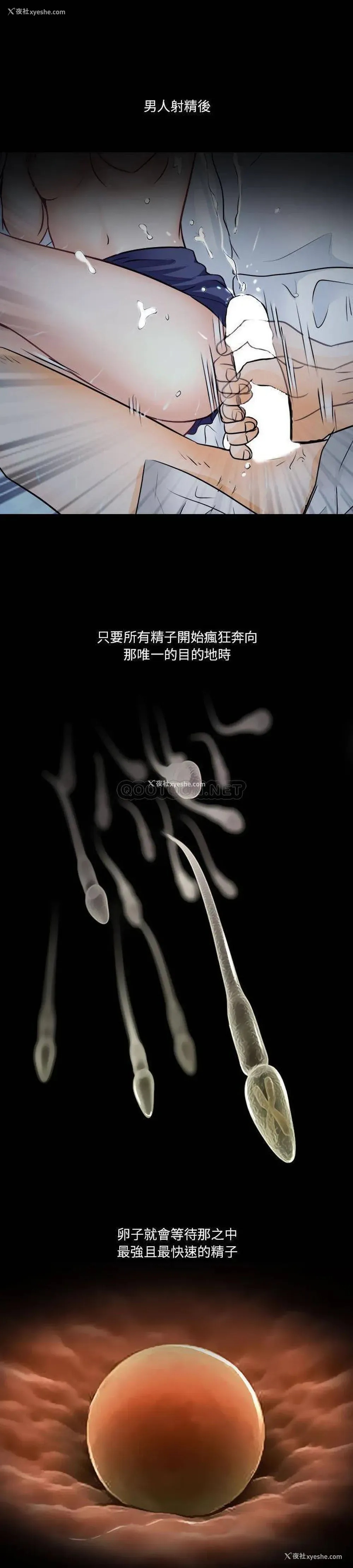 1P - 歧途