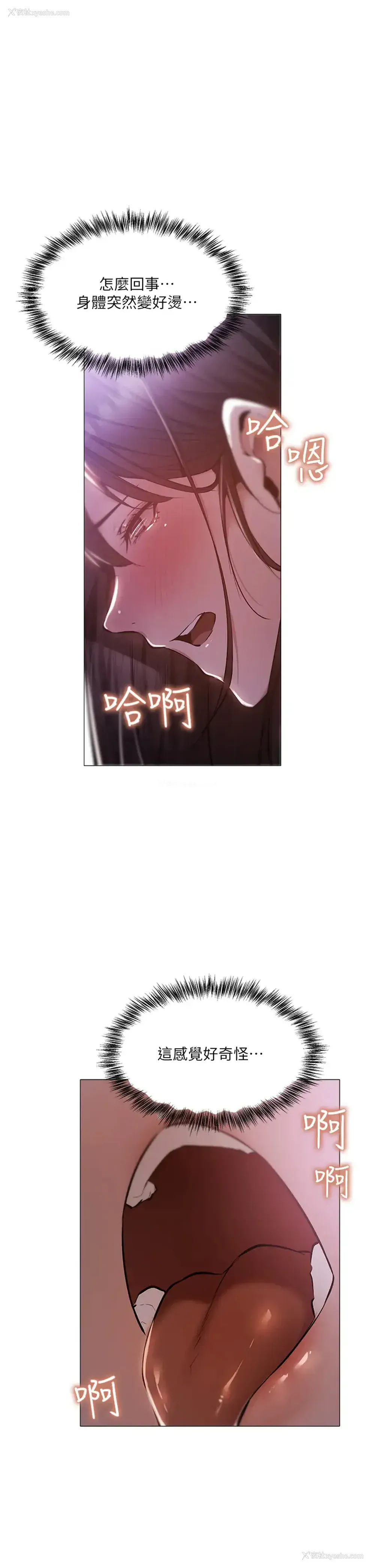 1P - 还有空房吗？