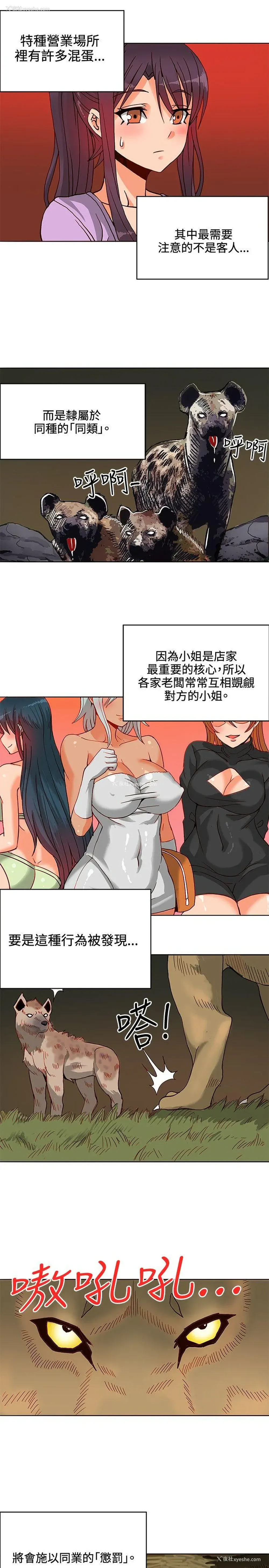24P - 30cm立约人