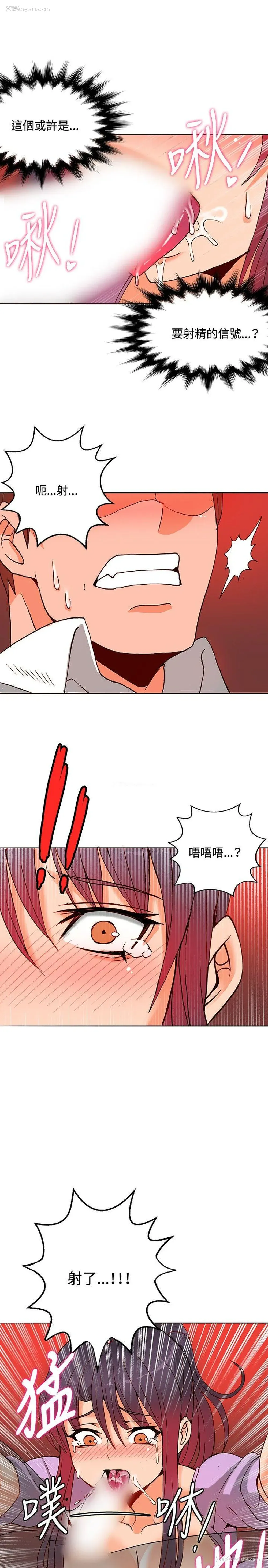 4P - 30cm立约人