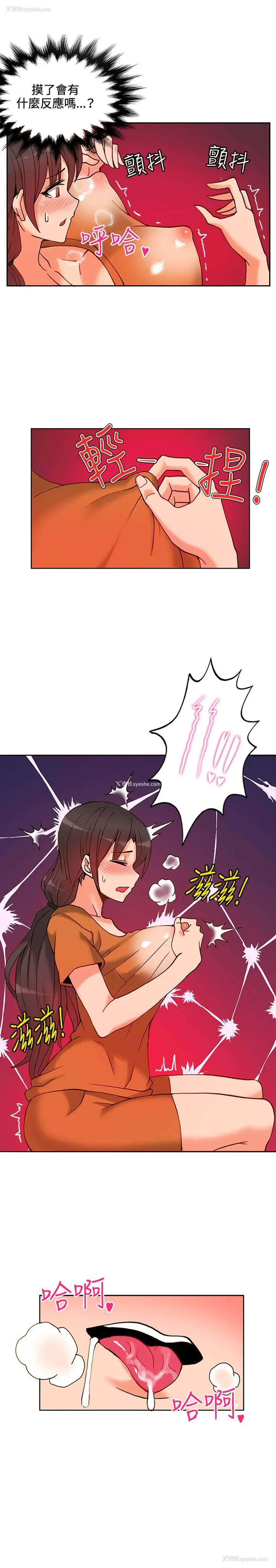 13P - 30cm立约人