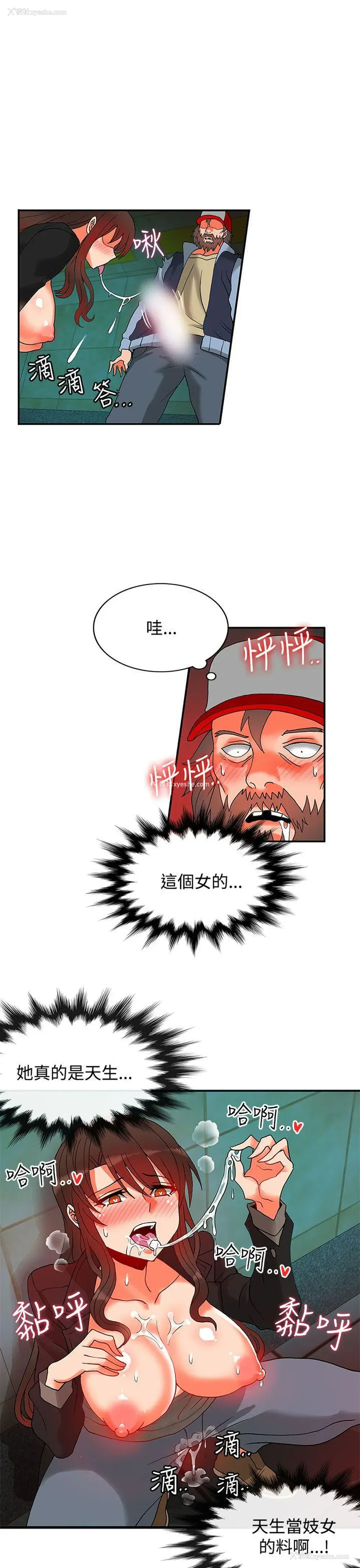 27P - 30cm立约人
