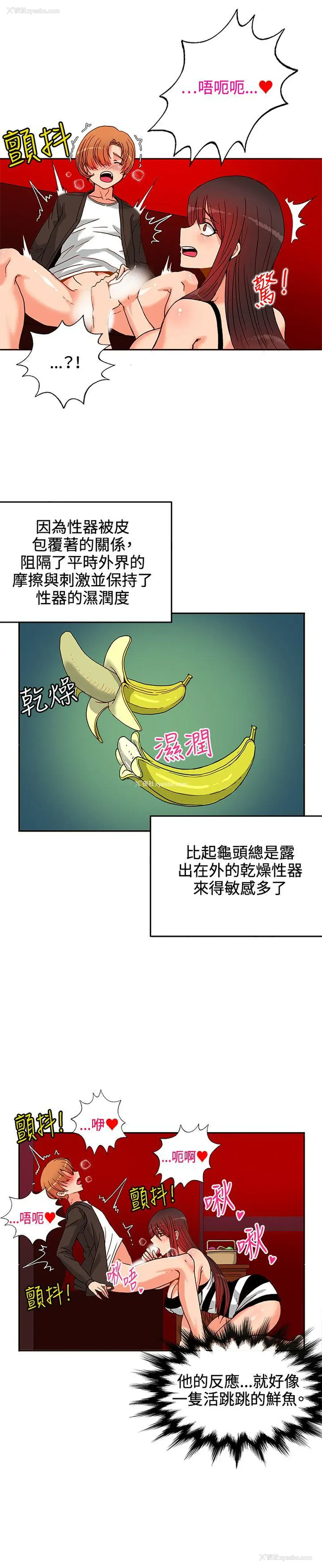 27P - 30cm立约人