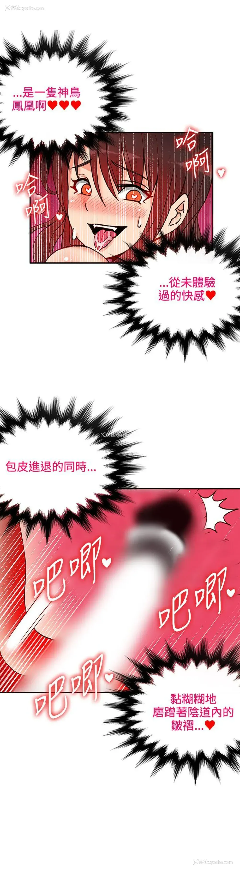 4P - 30cm立约人