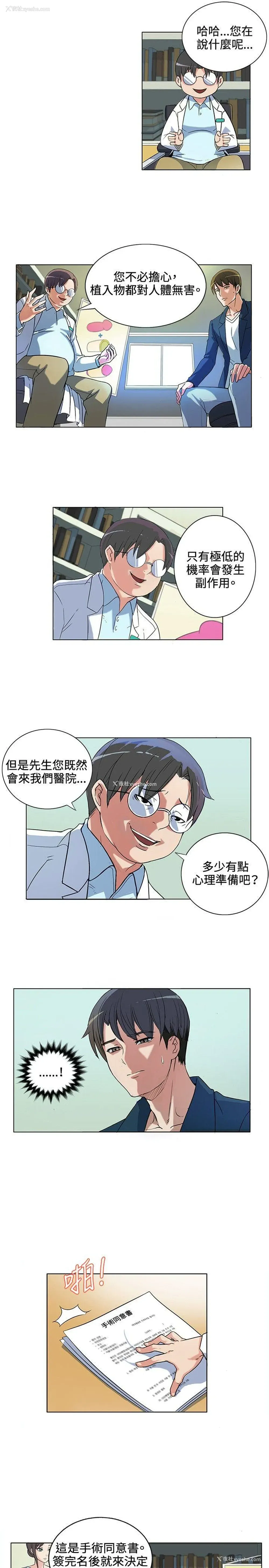 13P - 30cm立约人