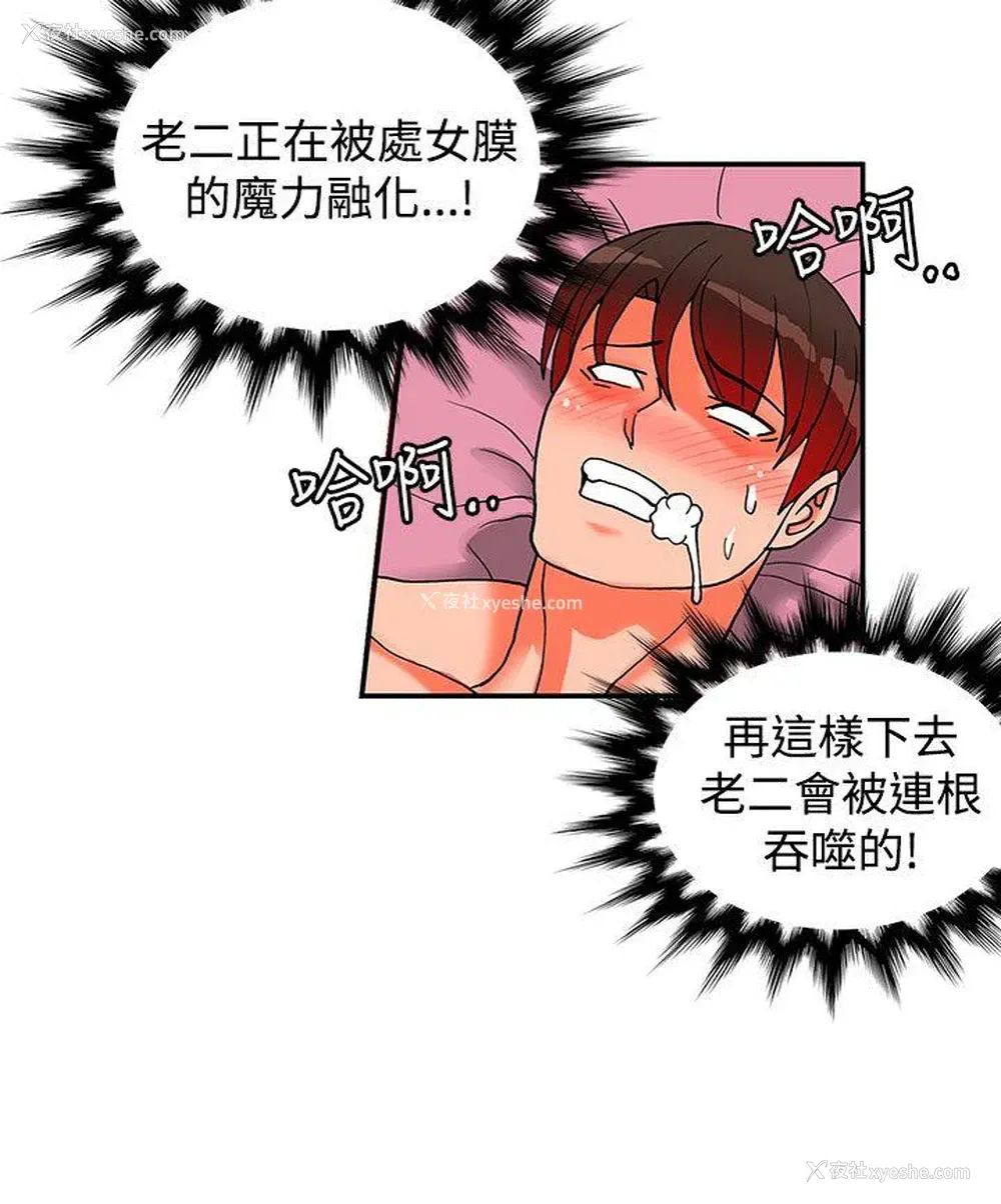 33P - 30cm立约人