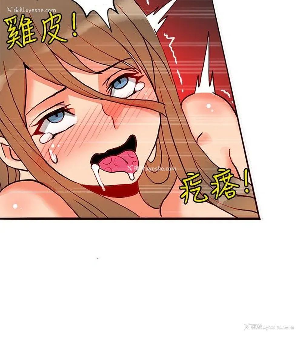 14P - 30cm立约人