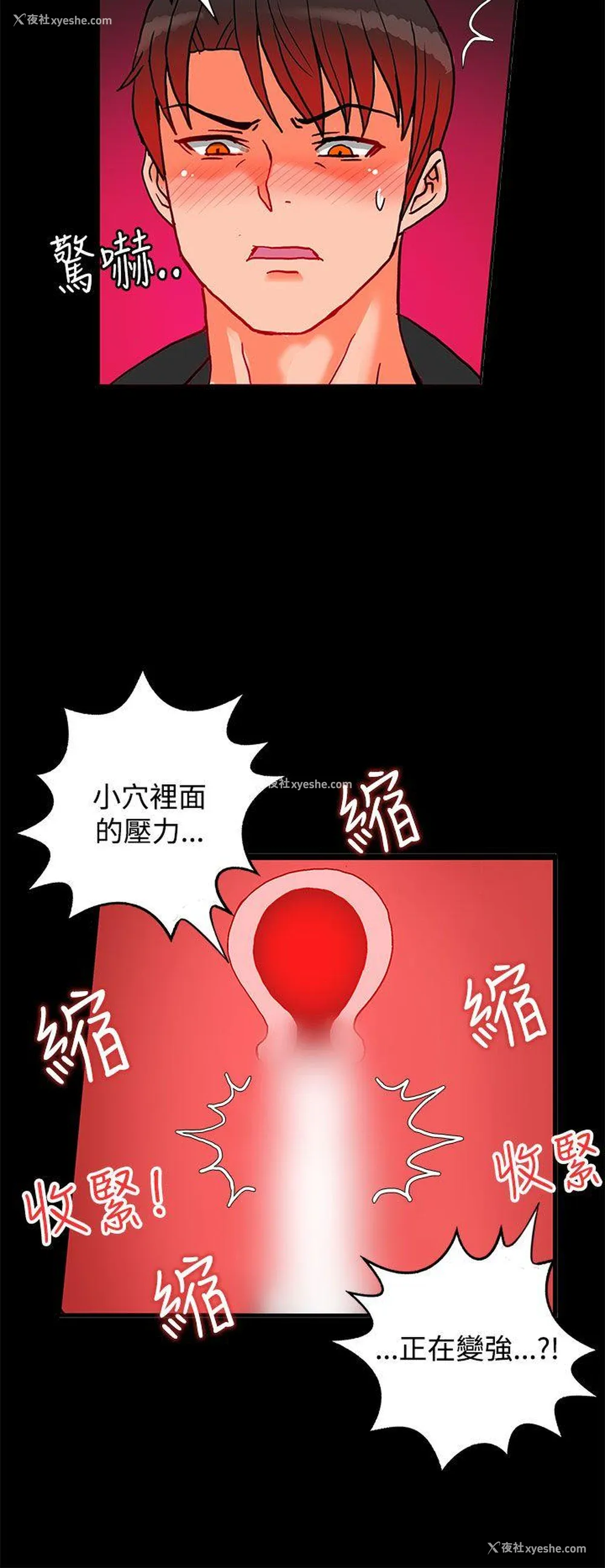 30P - 30cm立约人
