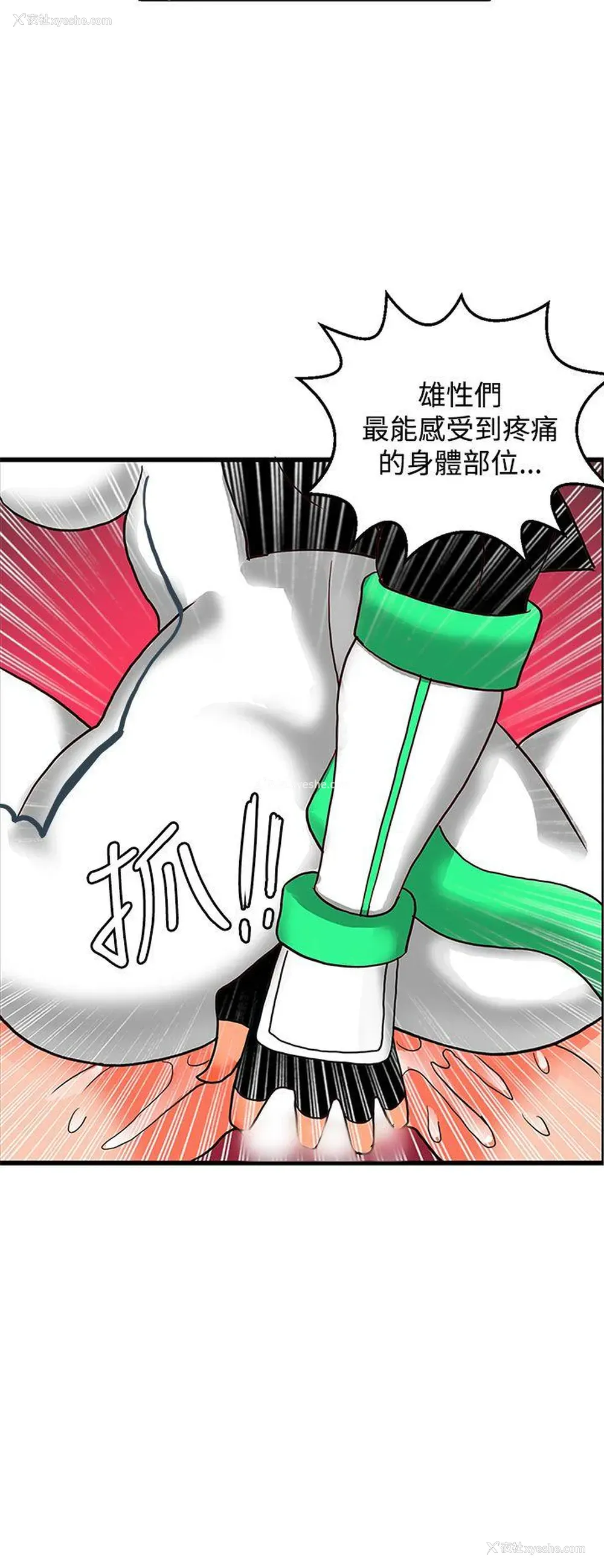 24P - 30cm立约人