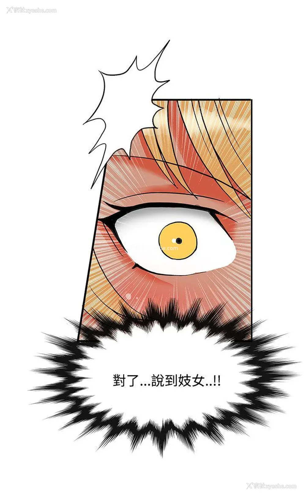 13P - 30cm立约人