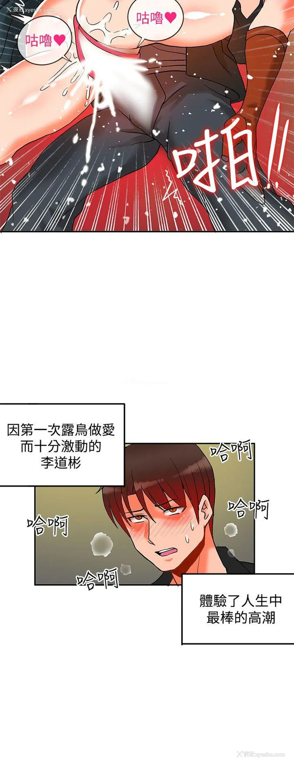 31P - 30cm立约人