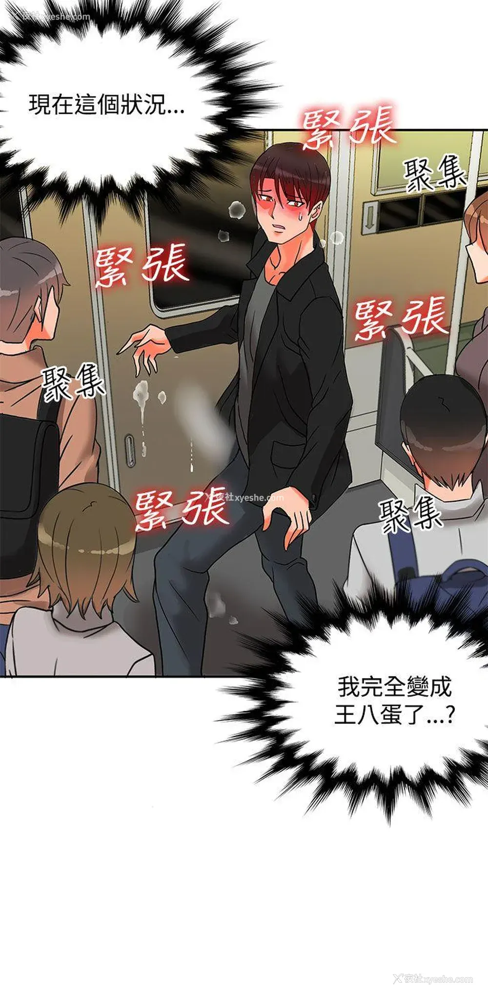 33P - 30cm立约人