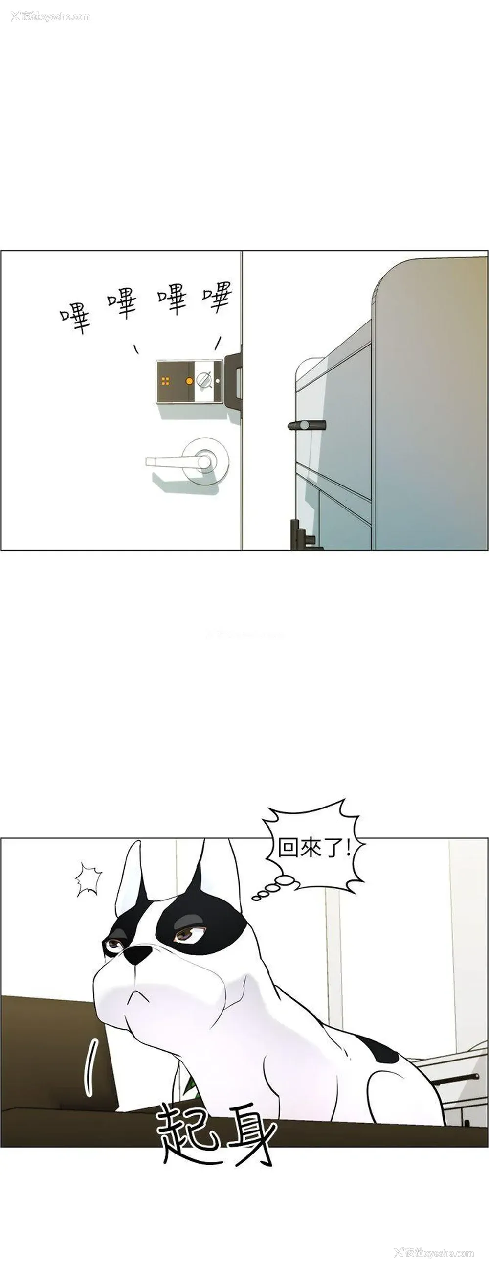 14P - 变成狗的男人